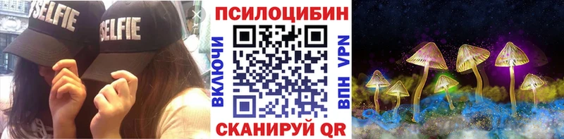 сколько стоит  Дзержинский  Псилоцибиновые грибы Psilocybine cubensis 