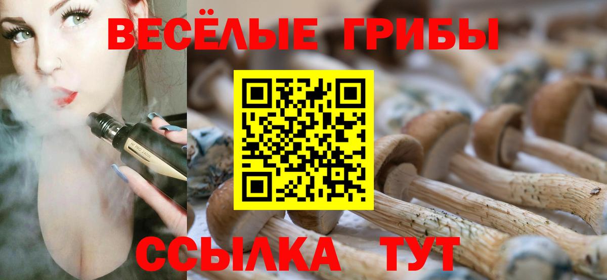 Дзержинский  Галлюциногенные грибы мухоморы  Вход с VPN 